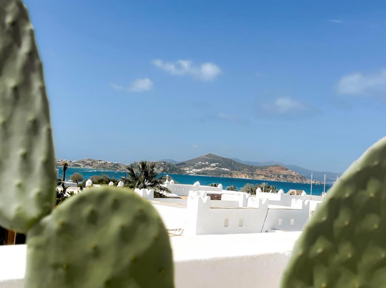 Sea View Casa Lägenhet Naxos City Exteriör bild